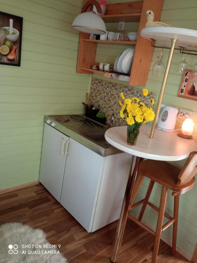 Jurmala'S Center Mini Houseヴィラ エクステリア 写真