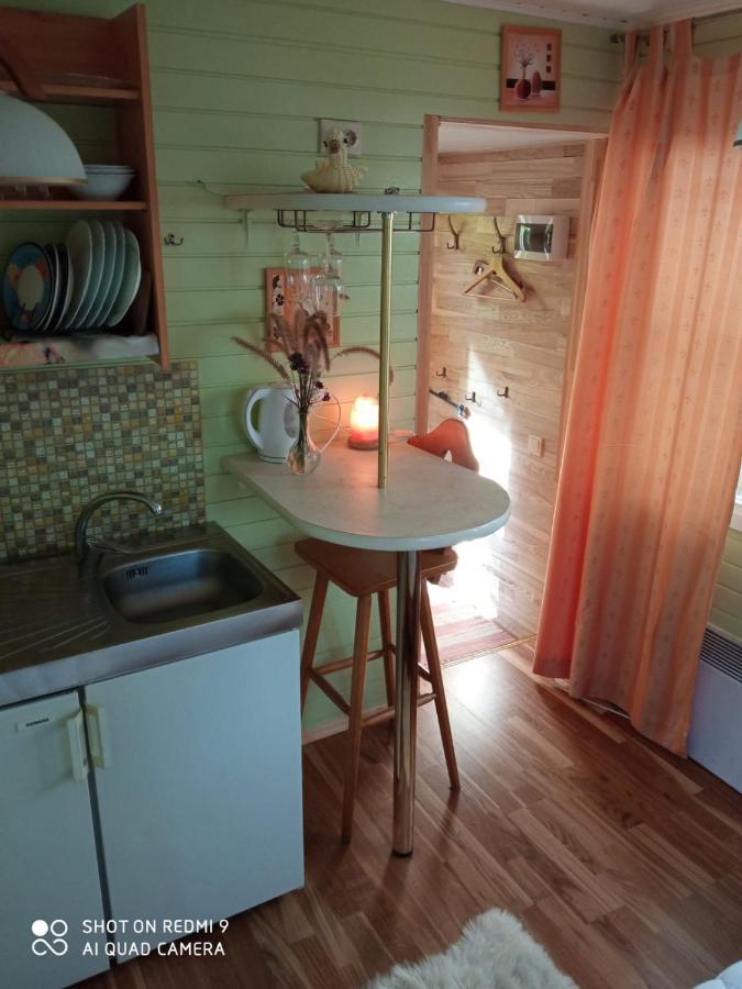Jurmala'S Center Mini Houseヴィラ エクステリア 写真